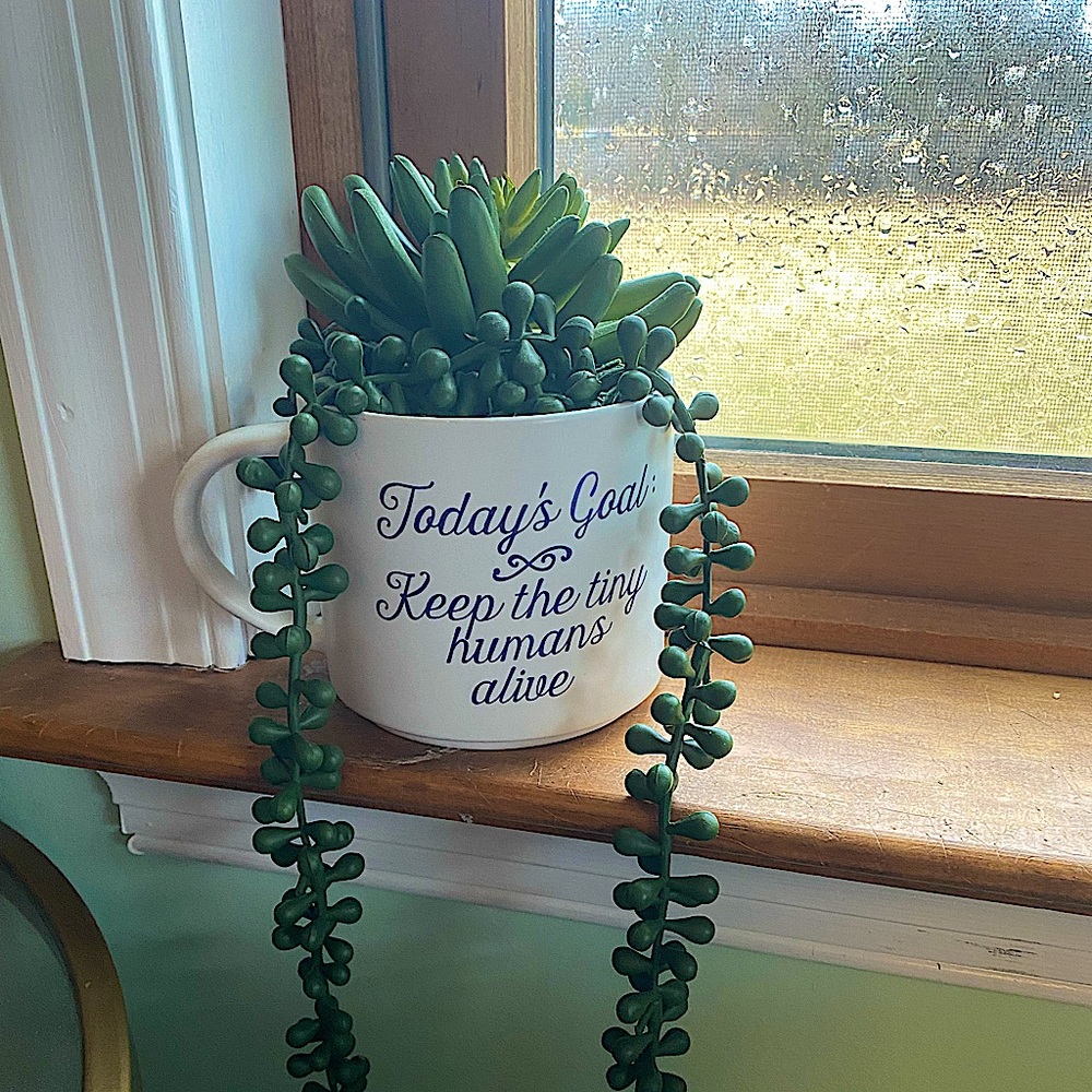 Teacher Mug
